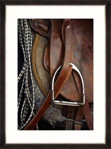 Tablou Framed Art Equitation III