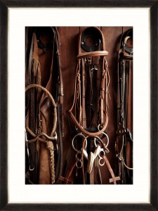 Tablou Framed Art Equitation IV