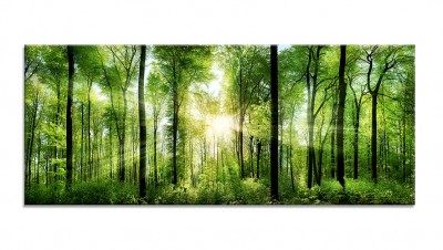 Tablou Sticla Glasspik Sunlight, 50x125 cm