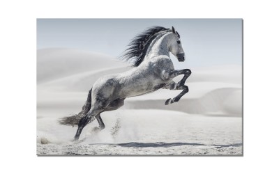 Tablou Sticla Glasspik Horse, 80x120 cm