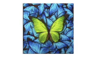 Tablou Sticla Glasspik Butterfly Blue, 20x20 cm  