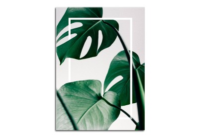 Tablou Sticla Glasspik Monstera, 70x100 cm-70 x 100 cm