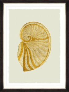 Tablou Framed Art Golden Seashell VI 