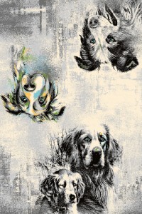 Covor Pax Grey, Wilton