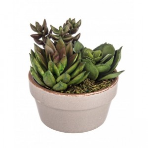 Planta artificiala Texas, H10 cm