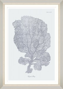 Tablou Framed Art Silver Coral I 