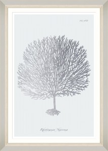 Tablou Framed Art Silver Coral III