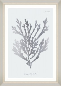 Tablou Framed Art Silver Coral V