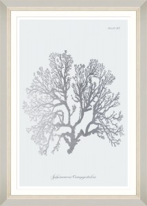 Tablou Framed Art Silver Coral VI 