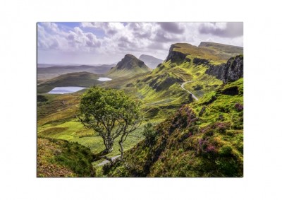 Tablou Canvas Nature Scotland, 85x113 cm 