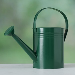 Stropitoare flori decorativa din metal Oxford Verde, L35xl15,5xH29,5 cm