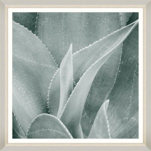 Tablou Framed Art Succulent V