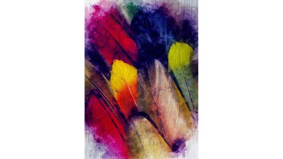 Tablou din aluminiu striat Feathers of Colour