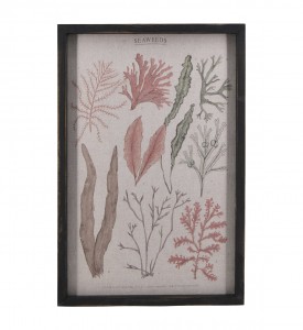 Tablou Canvas Coral Clasic, 42 x 62 cm