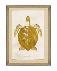 Tablou Framed Art Caribbean Sea Life - Chelonioidea, 50 x 70 cm