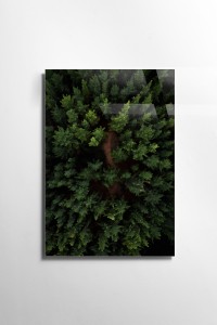 Tablou Sticla Above The Forest 1170 Verde, 30 x 45 cm