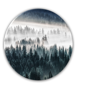 Tablou Sticla Glasspik Ringart GR002 Forest, Ø70 cm