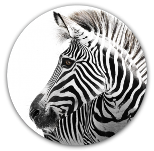 Tablou Sticla Glasspik Ringart GR012 Zebra, Ø70 cm