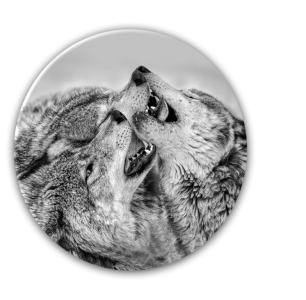 Tablou Sticla Glasspik Ringart GR013 Wolves, Ø70 cm