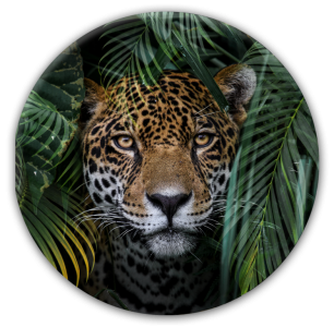 Tablou Sticla Glasspik Ringart GR018 Jungle, Ø70 cm