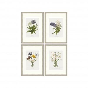 Tablou 4 piese Framed Art Vintage Flower Plates